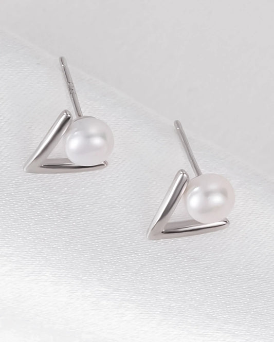 silver earrings